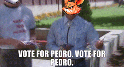 Vote For Pedro Campaigning Face Swap GIF