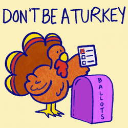 Vote Turkey Dropping Ballots GIF