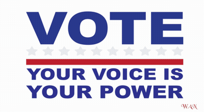 Vote Your Voice Is Your Power Sign GIF