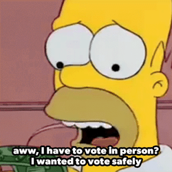Voting Hours Homer Meme GIF