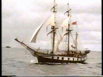 Voyage Of The Beagle Charles Darwin GIF
