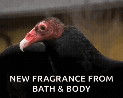 Vulture New Fragrance From Bath & Body GIF
