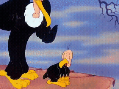 Vulture Standing Next To Bald Eagle On Cliff GIF