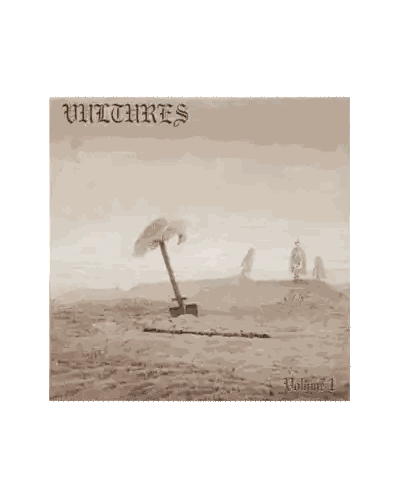 Vultures Volume 1 Beach Scene Sticker