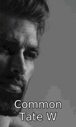 W Rizz Andrew Tate Giga Chad Meme GIF