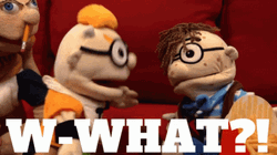W What Cody Jeffry GIF