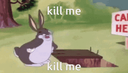 Wabbit Twouble Angry Kill Me Now GIF