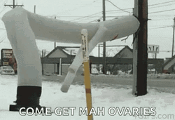 Wacky Waving Inflatable Tube Man Come Get My Ovaries Snow GIF