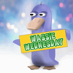 Wacky Wednesday Wassie Smolting GIF