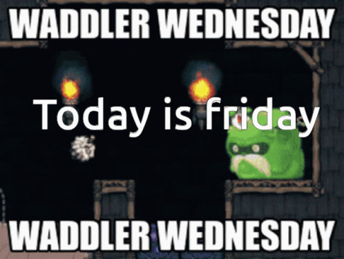 Waddler Wednesday Today Is Friday Waddler Wednesday Waddler Wednesday Waddler Wednesday Waddler Wednesday Waddler Wednes GIF