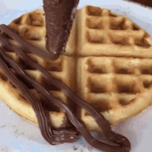 Waffle With Chocolate Sauce GIF