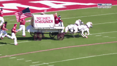 Wagon Saying Sooner Schouner Pulled By Horses GIF