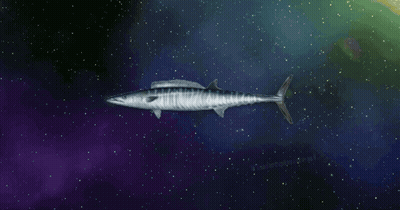 Wahoo In Yellow On Blue GIF