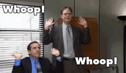 Wahoo The Office Michael Scott Dwight Schrute  GIF
