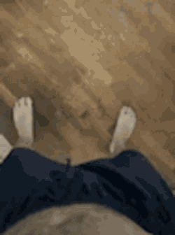 Wait For It Dog GIF