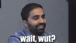 Wait Wut Gautam Gulati GIF