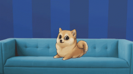 Waiting Corgi Couch Meme GIF