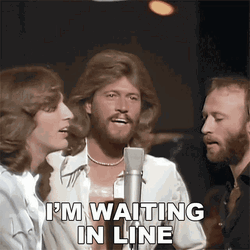 Waiting In Line Bee Too Much Heaven Song GIF