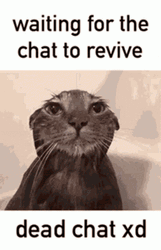 Waiting To Revive Dead Chat Meme GIF