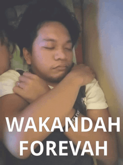 Wakanda Forever Funny Sleeping GIF