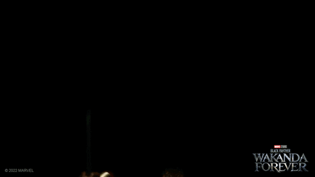 Wakanda Out Of The Shadow GIF