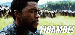 Wakanda Yibambe Forever GIF