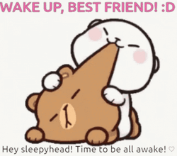 Wake Up Best Friend GIF