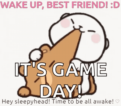 Wake Up Best Friend Game Day Poster GIF