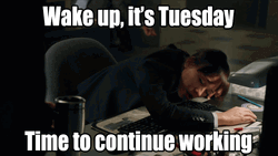 Wake Up It's Tuesday GIF