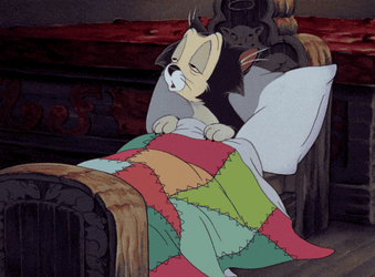 Wake Up Little Kitty Its Gameday GIF