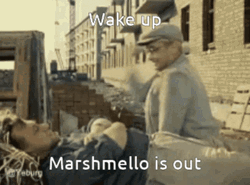 Wakeup Marshmello Is Out GIF