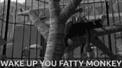 Wale Up You Fat Monkey GIF