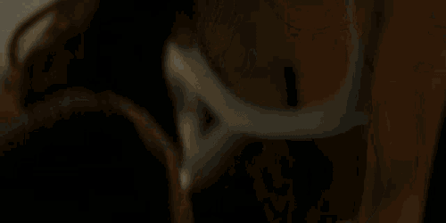 Walker Micki Ramirez GIF