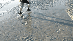 Walking Around Quicksand GIF