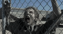 Walking Dead Hungry Zombie GIF