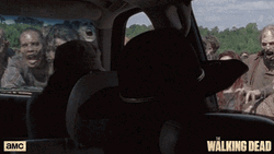 Walking Dead Season 8 Walkers Zombies GIF
