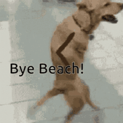 Walking Dog Bye Meme GIF