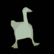 Walking Duck Animated Shadow Stroll GIF