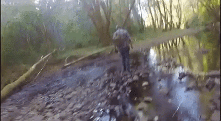 Walking In A Swamp GIF