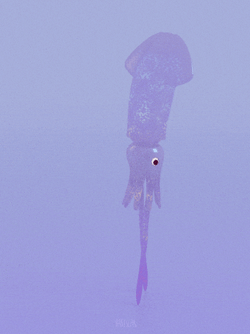 Walking Tall Squid GIF