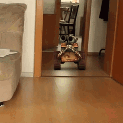 Wall E Strolling Along The House GIF