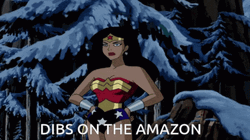 Wally West Flash With Wonder Woman GIF