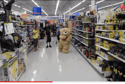 Walmart Funny Bear Running GIF