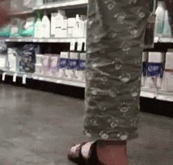 Walmart Funny Dog Take A Peek GIF