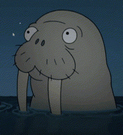 Walrus With Tusks Swimming In Ocean At Night GIF