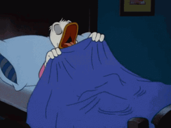 Walt Disney Donald Duck Good Night Sleep Well GIF
