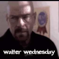 Walter Wednesday Compilation GIF