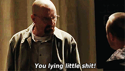 Walter White Angry You Liar GIF