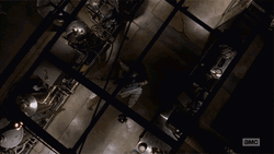 Walter White Breaking Bad Dead GIF