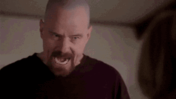 Walter White Meme I Am The Danger Scene GIF